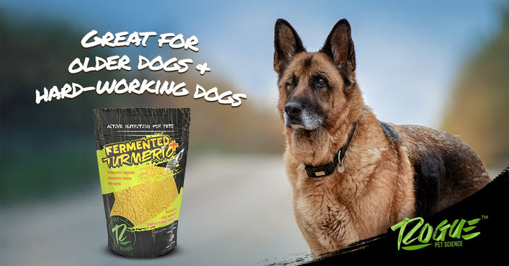 Pumpkin and Turmeric Products For Dogs