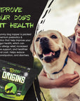Origins 5-in-1 Dog Supplement Powder | Food Topper for Gut Health, Skin & Coat, and Joint Support