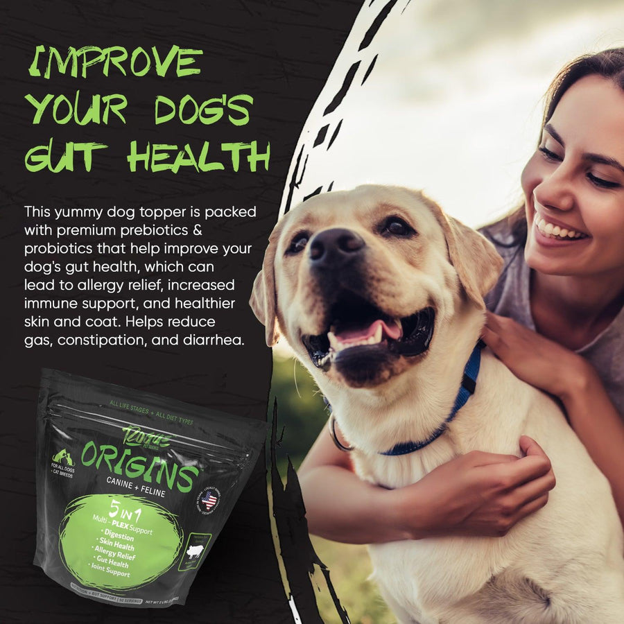 Pork-Origins 5-in-1 Dog Supplement, Powdered Food Topper for Active Dogs - Rogue Pet Science