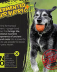 Turmeric Plus for Dogs, Fermented Turmeric Dog-Food Topper - Rogue Pet Science