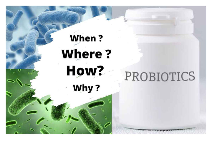 Probiotics For Dogs: A Complete Guide & Product Review