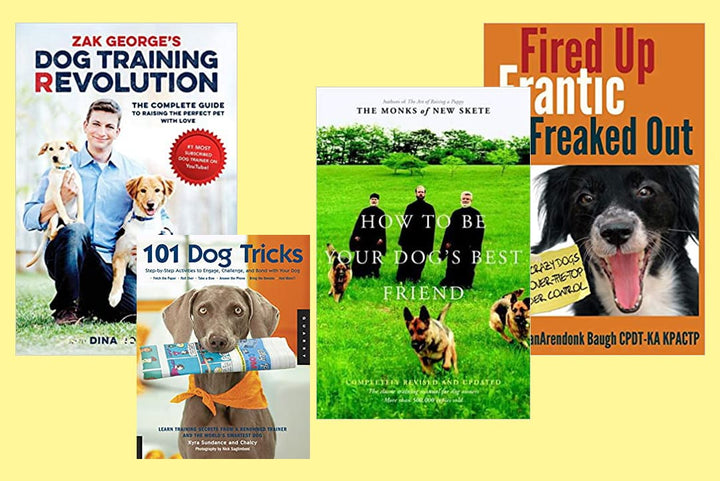 The 9 Best Dog Training Books [2023]