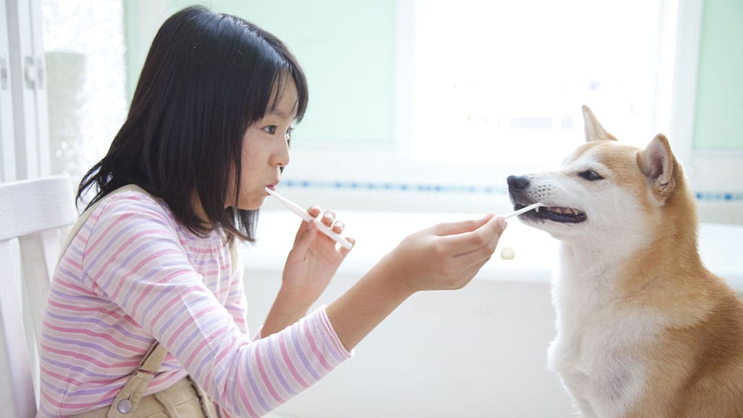 Homemade Dog Toothpaste