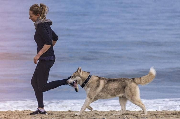 Get in shape! Five reasons why you should exercise with your dog