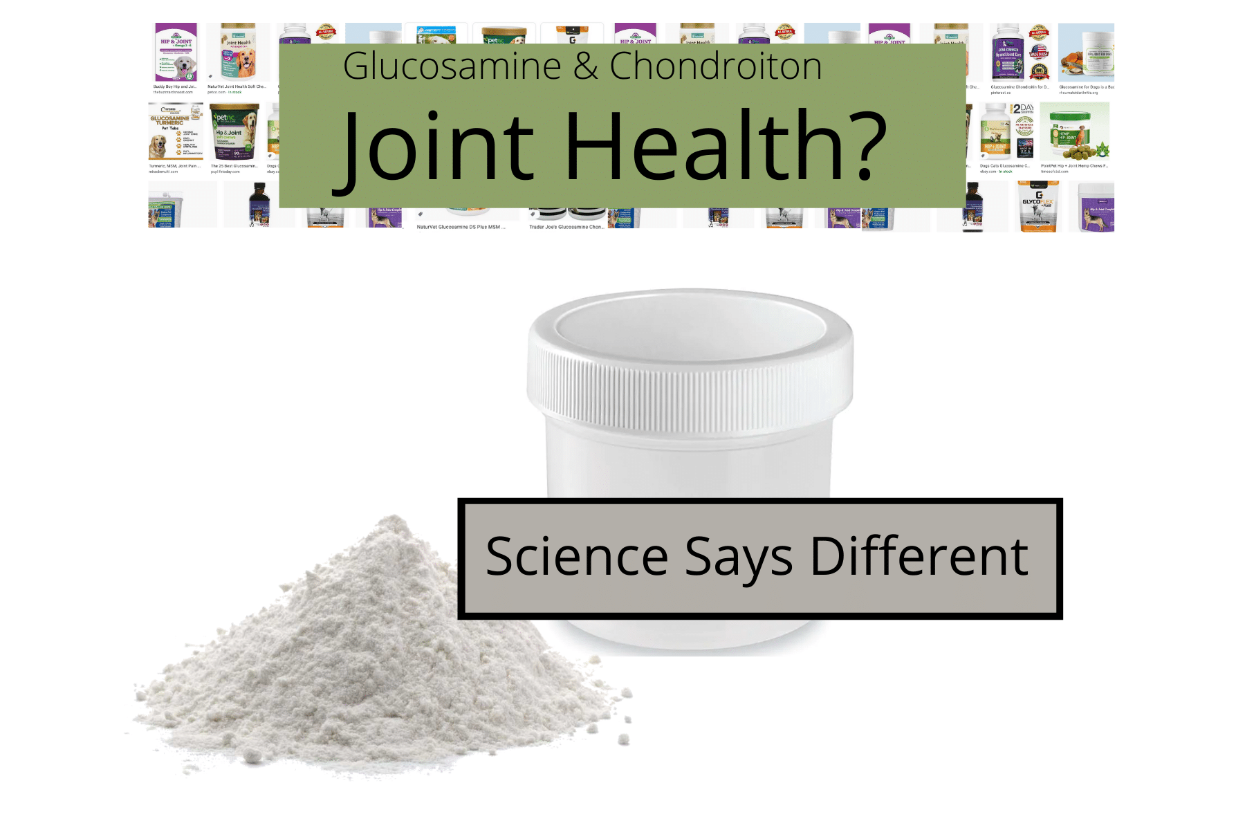 Are Glucosamine and Chondroitin Good Supplements For Dogs?