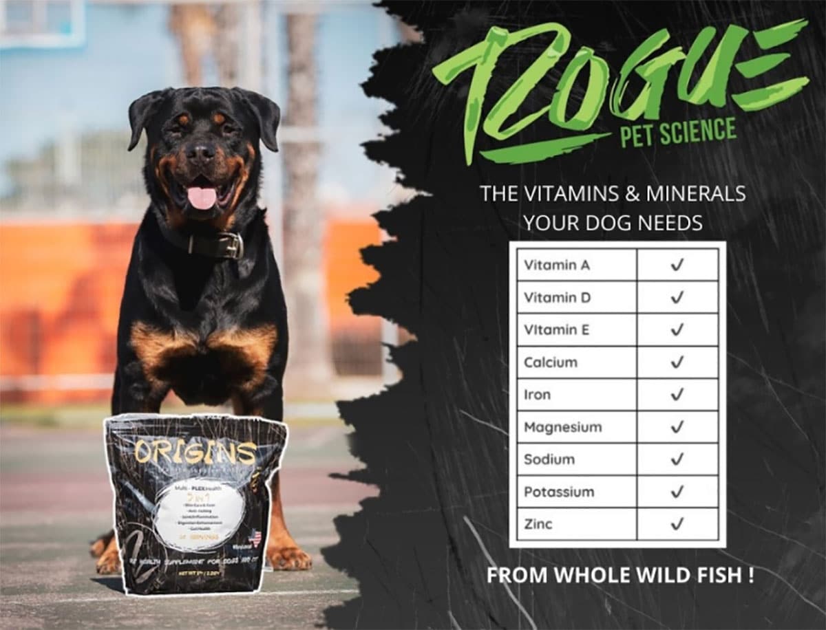 Adding Vitamins Vs Real Food To Your Dog's Diet