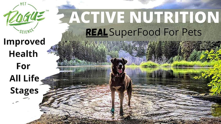 Active Nutrition For Your Dog