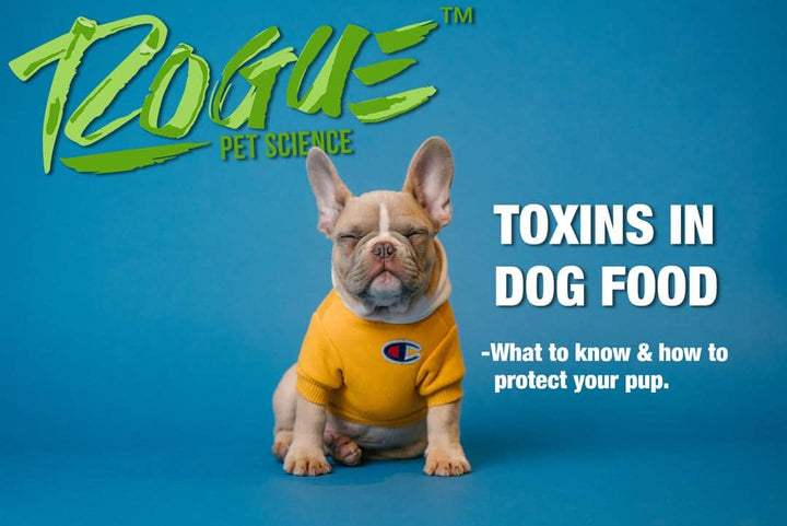 Toxins in Dog Food