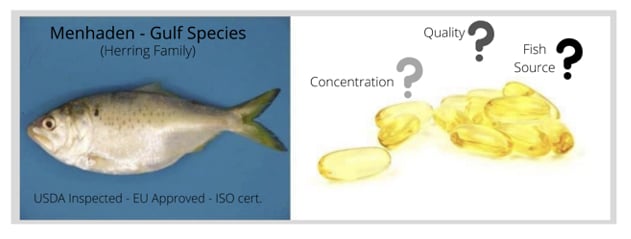 5 Reasons Why Whole Fish Is Good for Your Dog