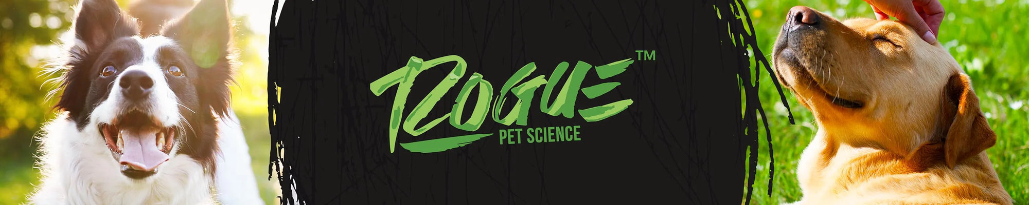 Dog Treats & Chews - Rogue Pet Science