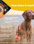 Healthy Weight, Natural Weight Gainer for Dogs, Food Topper