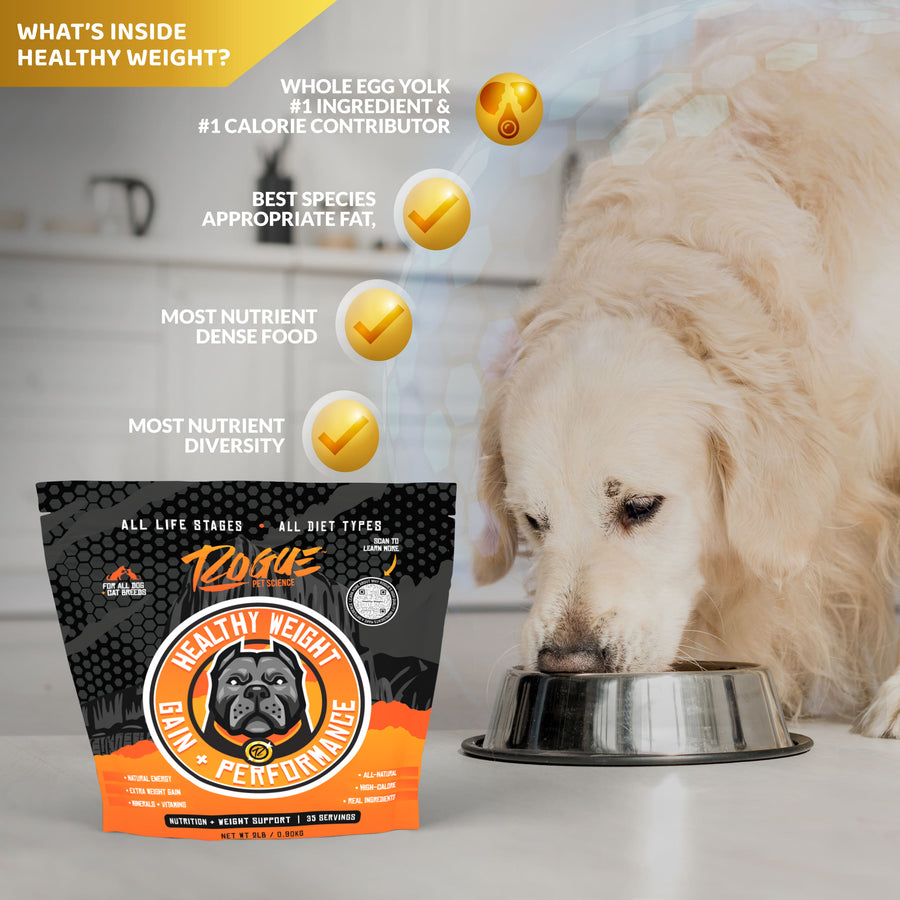 Healthy Weight, Natural Weight Gainer for Dogs, Food Topper