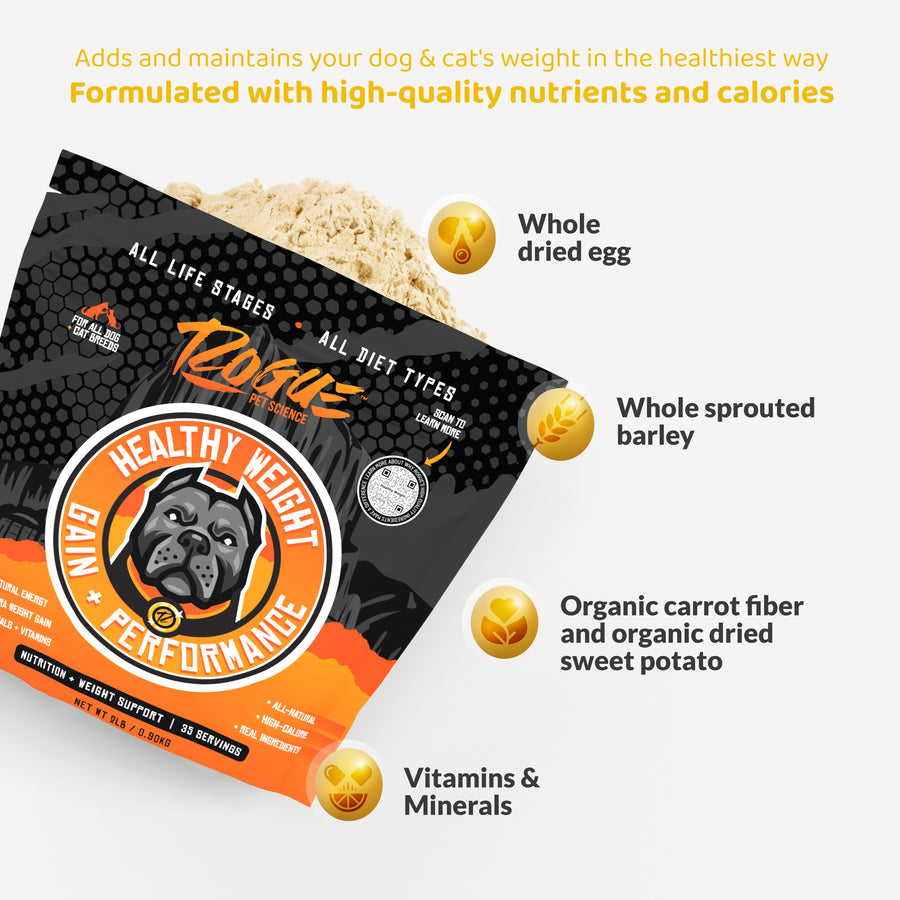 Healthy Weight, Natural Weight Gainer for Dogs, Food Topper