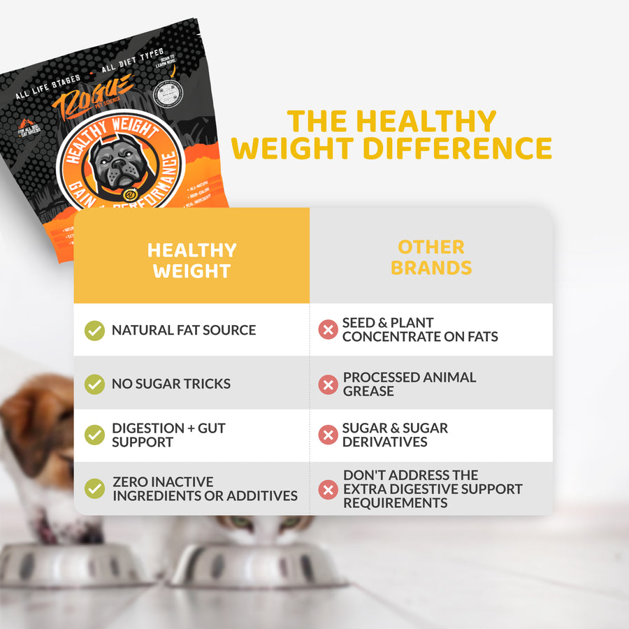 Healthy Weight, Natural Weight Gainer for Dogs, Food Topper