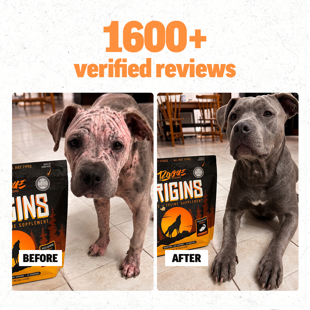 Origins 5-in-1 Fish | Dog Supplement Powder, Dog Food Topper for Gut Health, Skin & Coat, and Joint Support