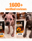 Origins 5-in-1 Dog Special Promo