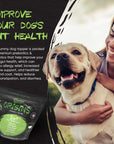 Pork-Origins 5-in-1 Dog Supplement, Powdered Food Topper for Active Dogs - Rogue Pet Science