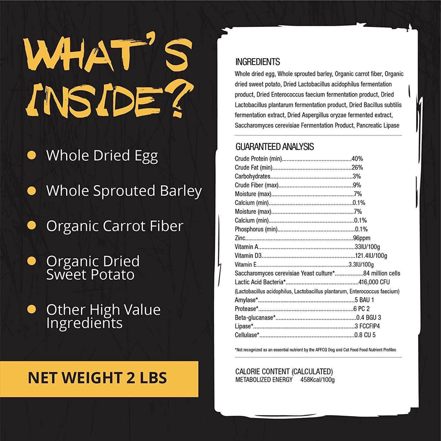 Muscle Building for Dogs: A Complete Guide – Rogue Pet Science