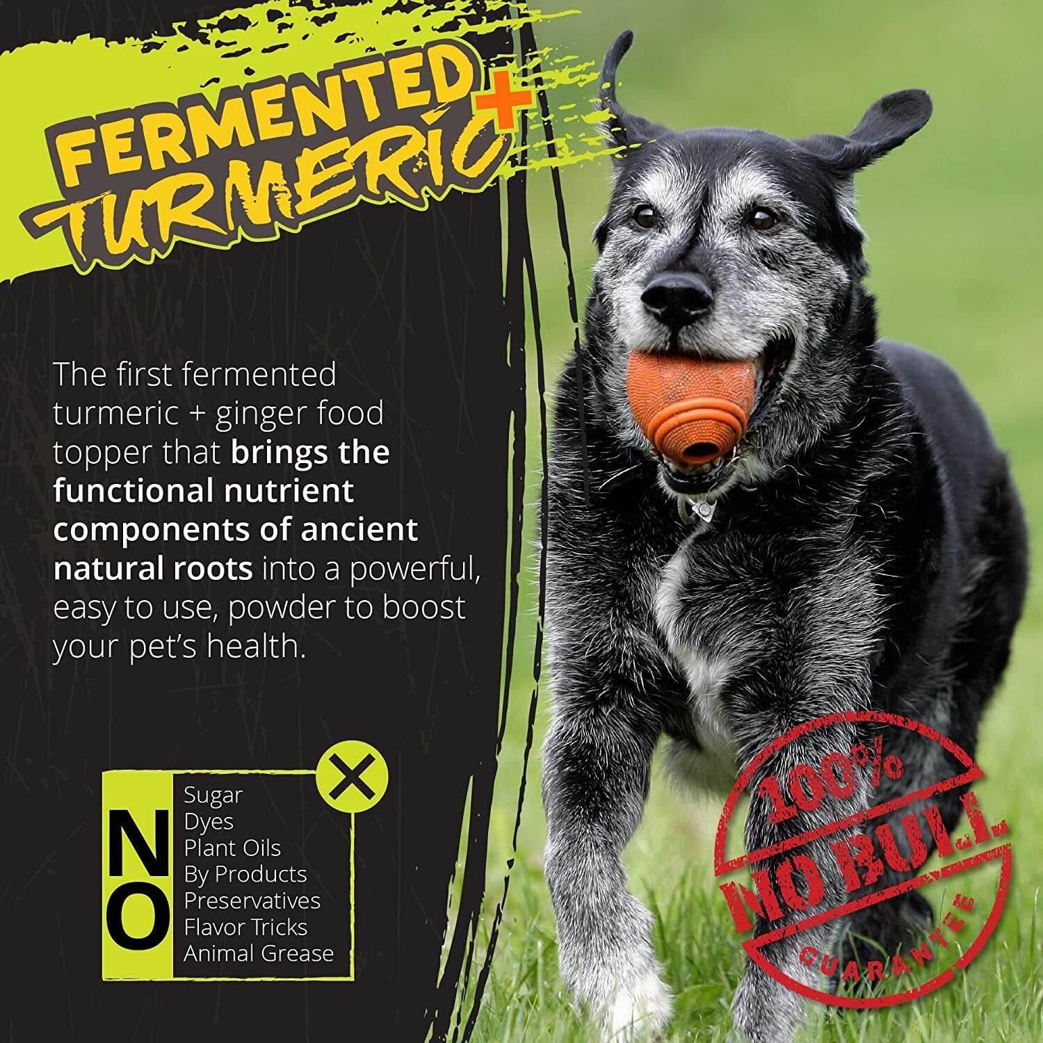 Turmeric Plus for Dogs, Fermented Turmeric Dog-Food Topper - Rogue Pet Science